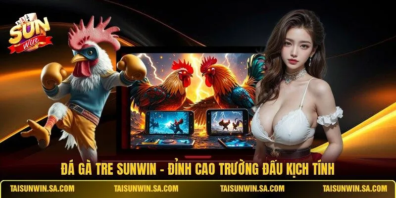 Đá Gà Tre SUNWIN