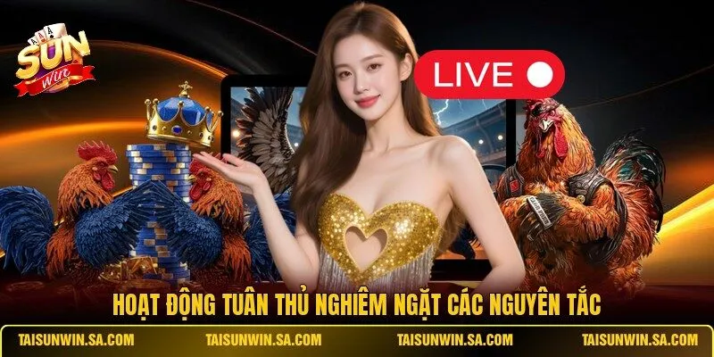 Hoạt động tuân thủ nghiêm ngặt các nguyên tắc