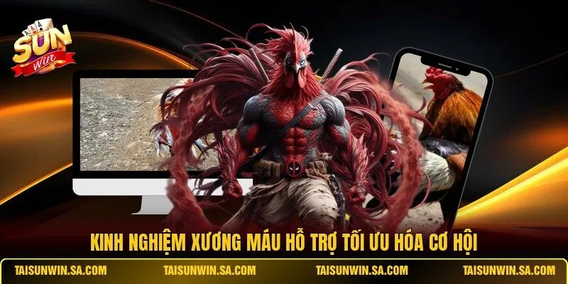 Kinh nghiệm xương máu hỗ trợ tối ưu hóa cơ hội