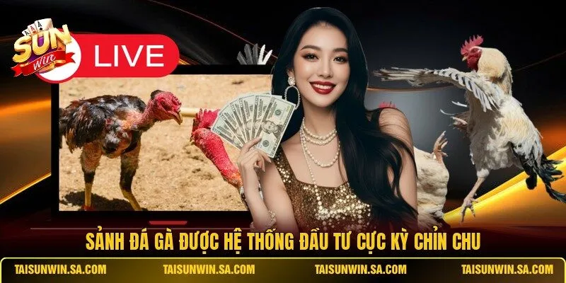 Sảnh đá gà được hệ thống đầu tư cực kỳ chỉn chu
